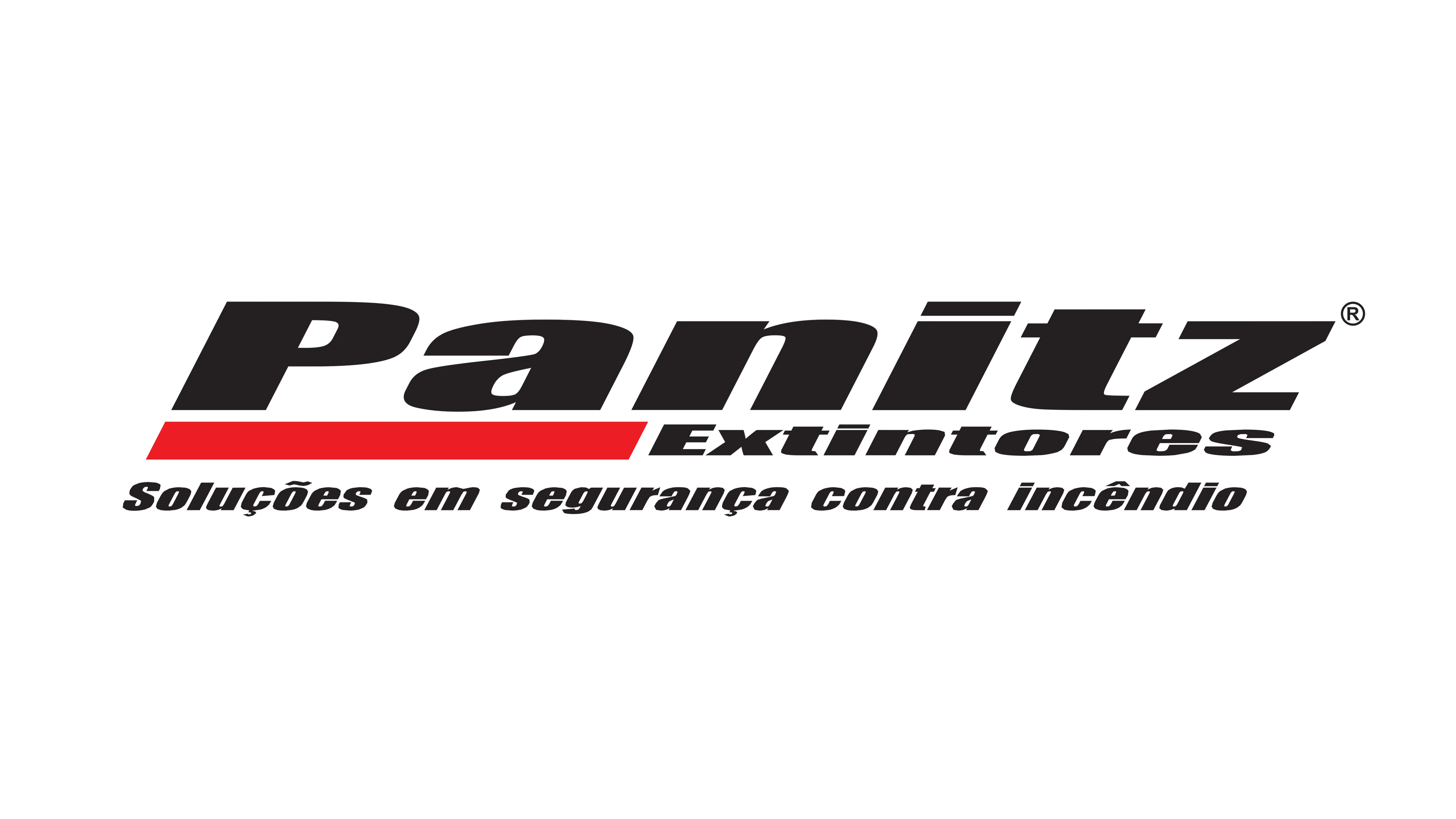 Panitz Logo